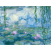 Inel cu email inspirație Claude Monet